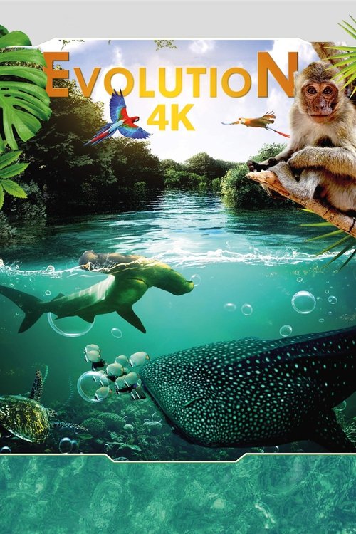 Movie poster for Evolution 4K (2018)