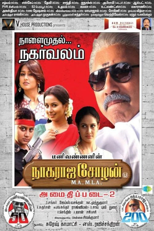 Movie poster for Nagaraja Cholan MA, MLA (2013)