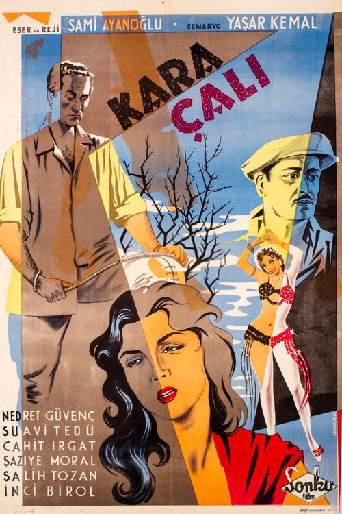 Movie poster for Kara Çalı (1956)