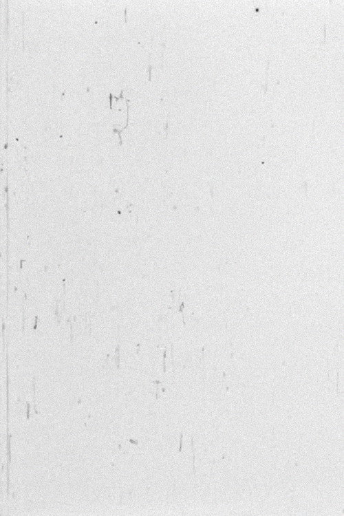 Movie poster for White (1968)