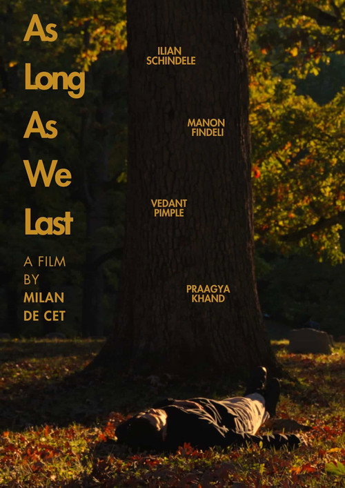 Movie poster for As Long As We Last