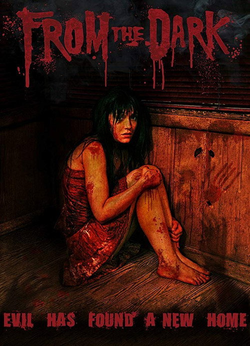 Movie poster for From the Dark (2009)