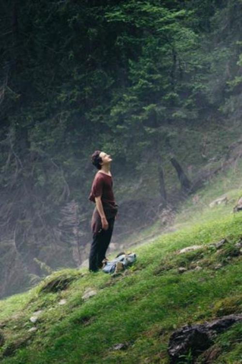 Movie poster for Der Wanderer (2018)