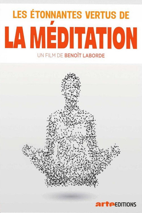 Movie poster for Les étonnantes vertus de la méditation (2017)