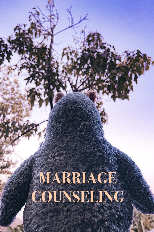 Movie poster for Marriage Counseling (2025)