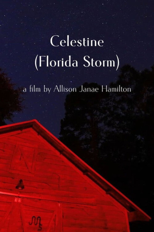 Movie poster for Celestine (Florida Storm) (2025)