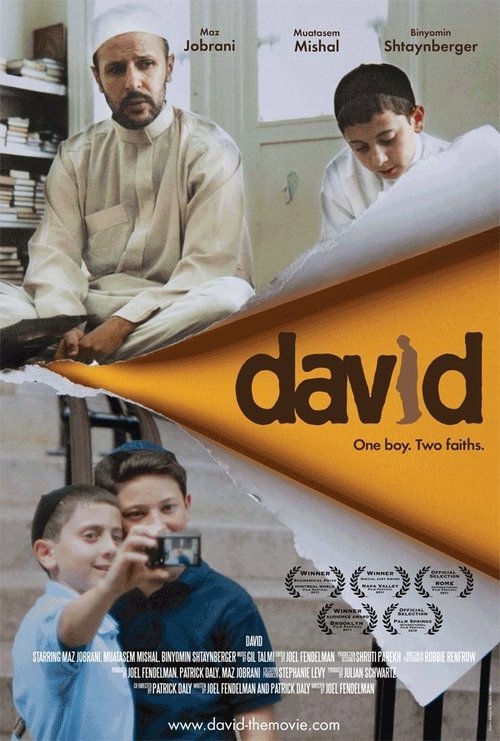 Movie poster for David (2011)