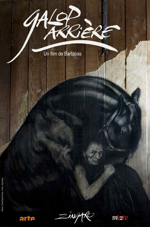 Movie poster for Galop Arrière (2010)