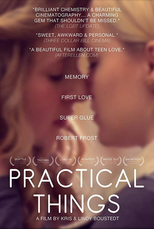 Movie poster for Practical Things (2013)