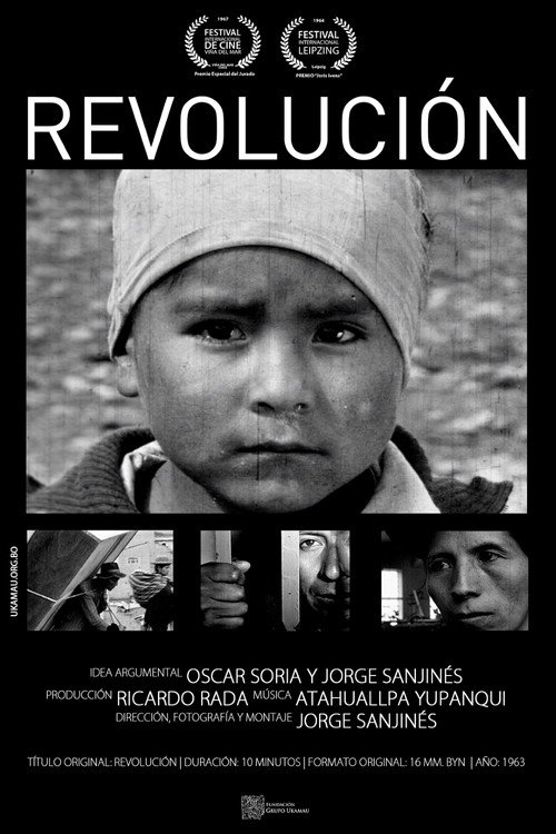 Movie poster for Revolution (1963)