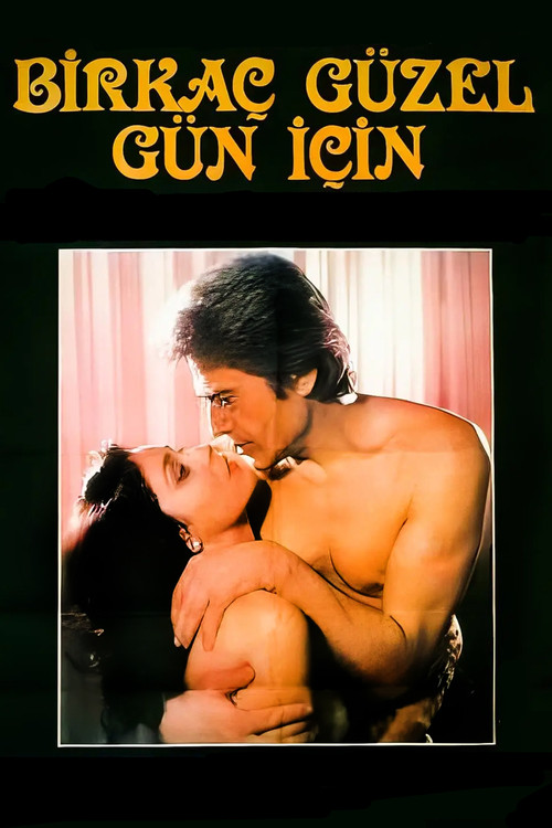 Movie poster for Birkaç Güzel Gün İçin (1984)