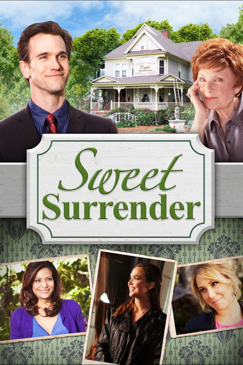 Movie poster for Sweet Surrender (2014)