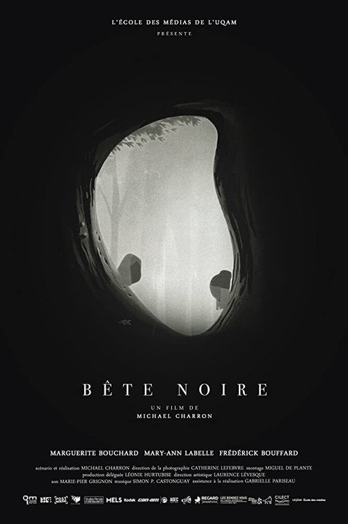Movie poster for Bête noire (2017)