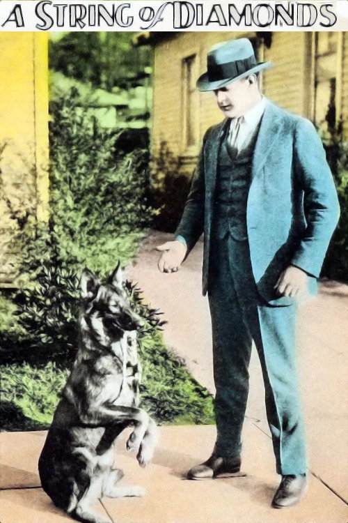 Movie poster for A String of Diamonds (1926)