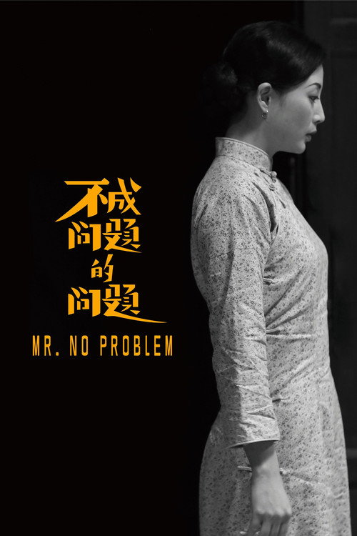 Movie poster for Mr. No Problem (2017)