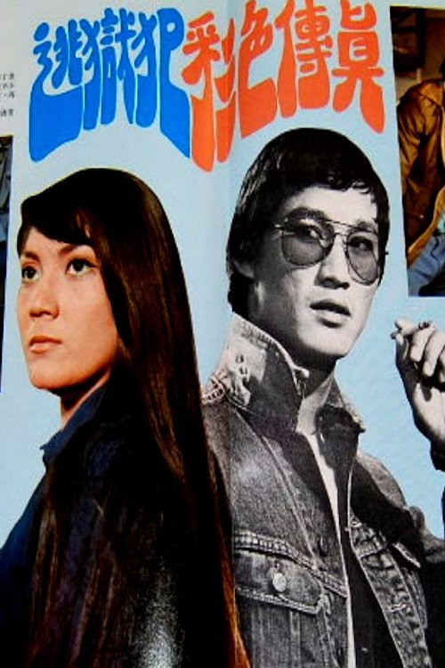 Movie poster for The Escaped Convict (1973)