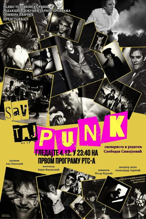 Movie poster for All That Punk (2023)