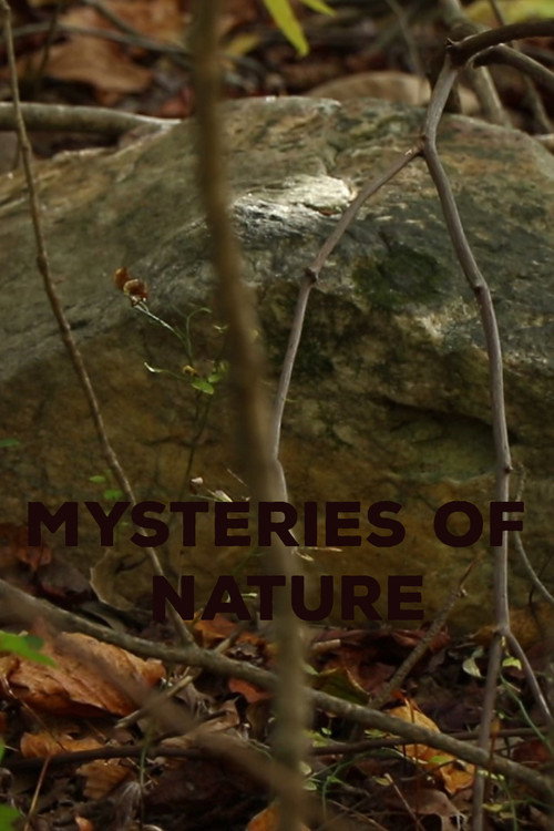 Movie poster for Mysteries of Nature (2023)