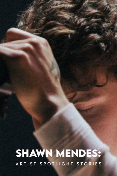 Movie poster for Shawn Mendes: Artist Spotlight Stories (2018)