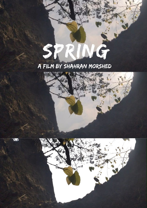 Movie poster for Spring