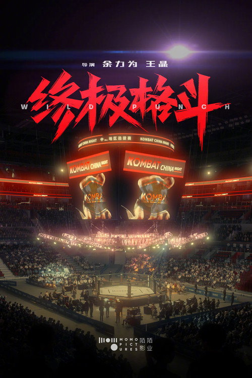 Movie poster for Wild Punch