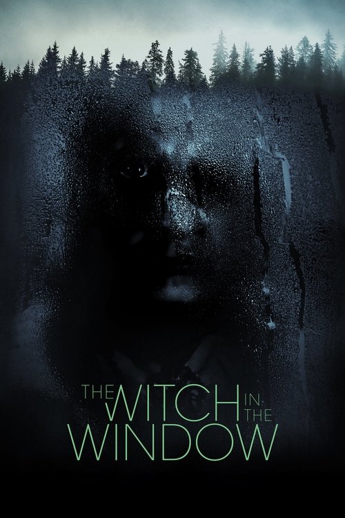 Movie poster for The Witch in the Window (2018)