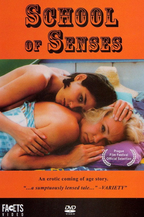 Movie poster for School of Senses (1996)
