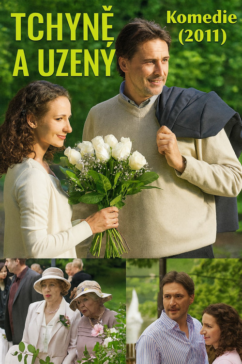Movie poster for Tchyně a uzený (2011)
