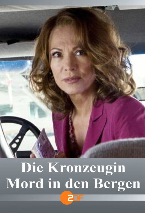 Movie poster for Die Kronzeugin - Mord in den Bergen (2013)