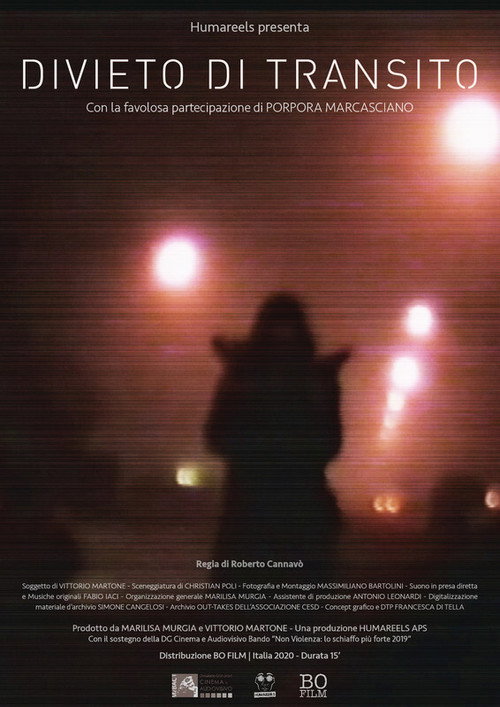 Movie poster for Forbidden Transit (2020)