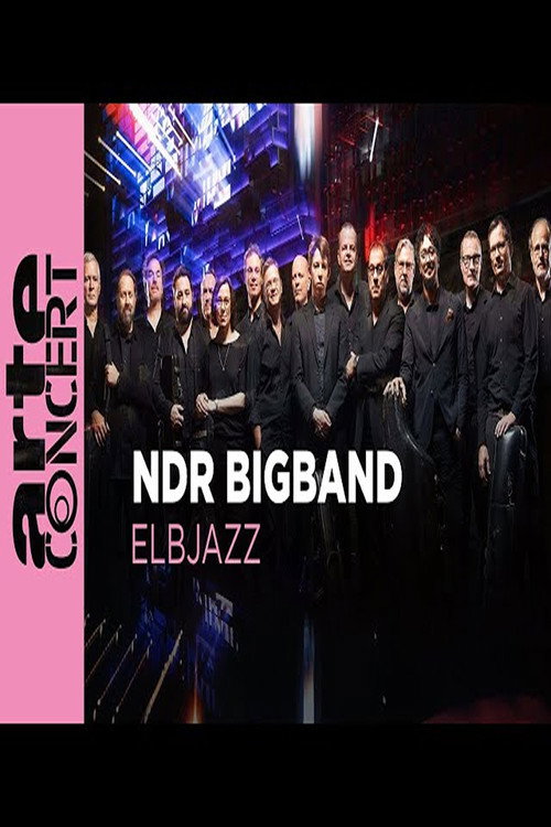Movie poster for NDR Bigband feat. Lenine & Martin Fondse: The Bridge Elbjazz Festival 2024 (2024)