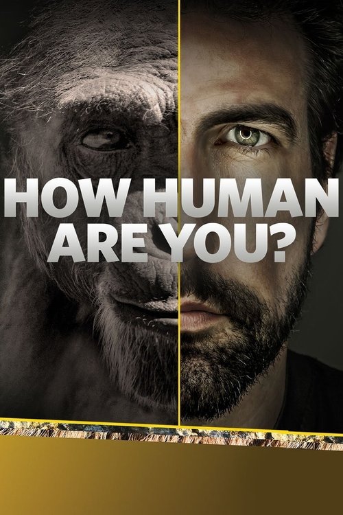 Series poster for How Human Are You? (2014)