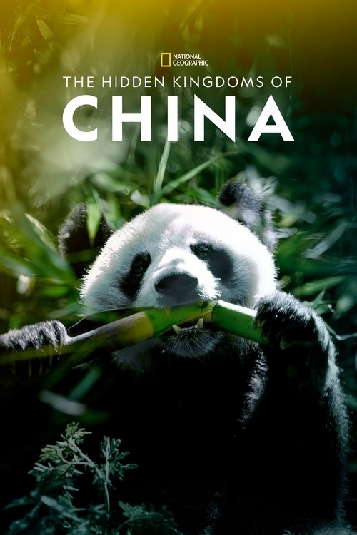 Movie poster for The Hidden Kingdoms of China (2020)
