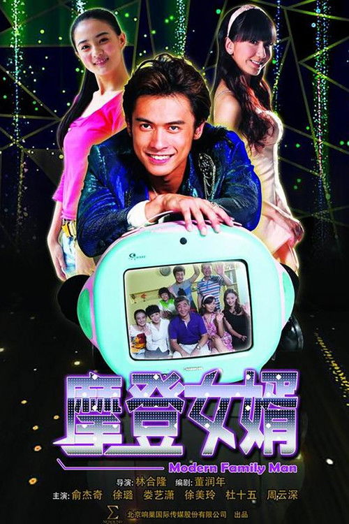 摩登女婿 poster