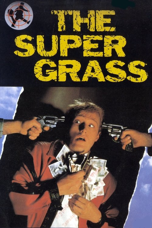 Movie poster for The Supergrass (1985)