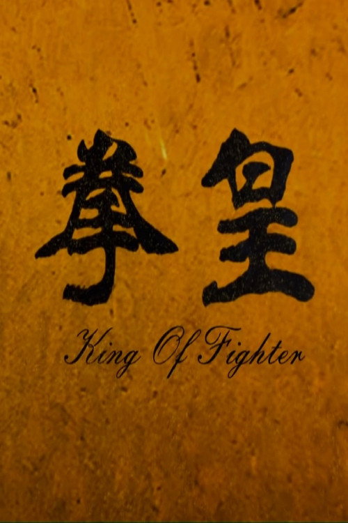 Movie poster for The King of Fighters (2011)