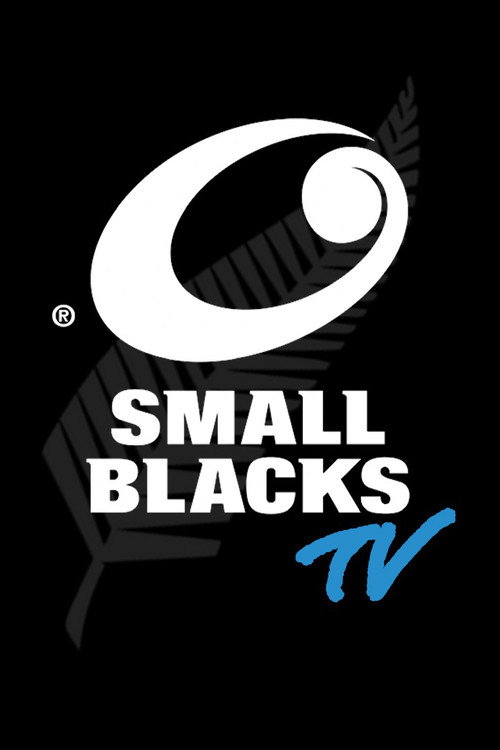 Series poster for Small Blacks TV