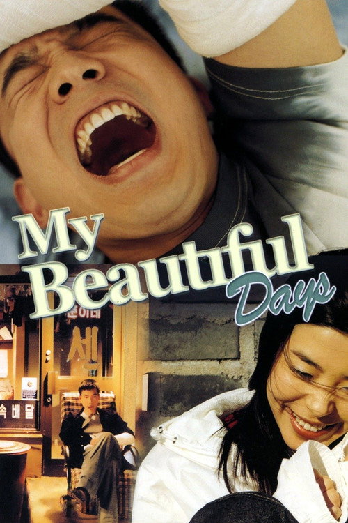 Movie poster for My Beautiful Days (2002)