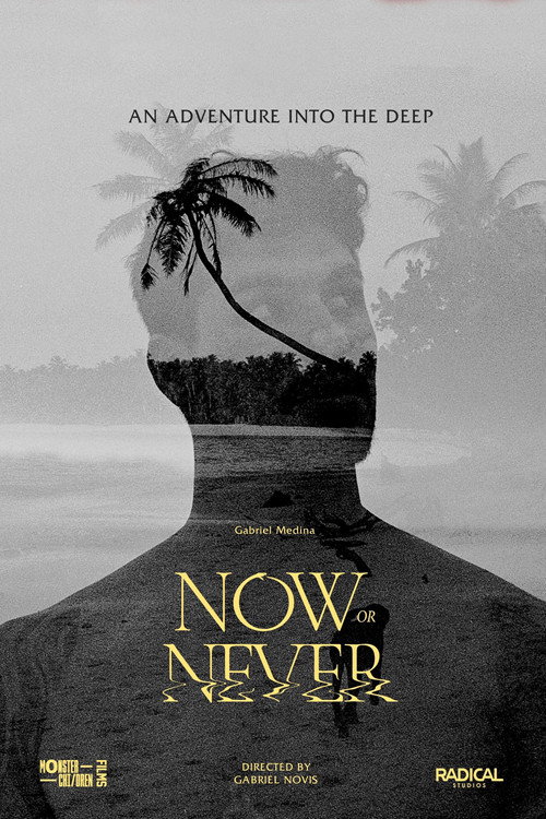 Movie poster for Now or Never (2024)