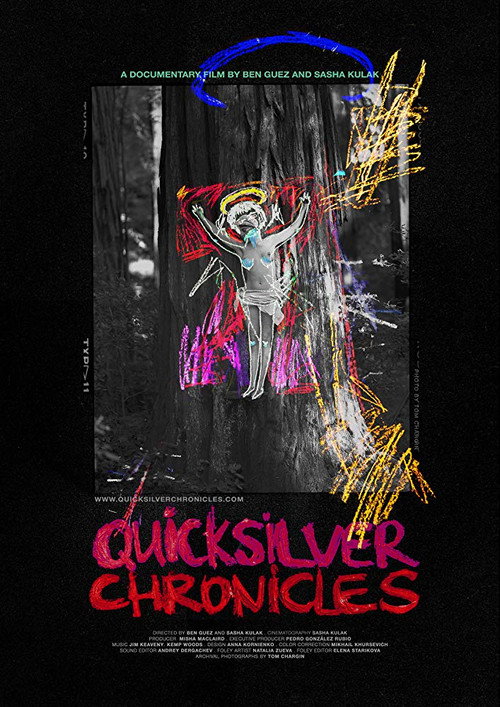 Movie poster for Quicksilver Chronicles (2019)