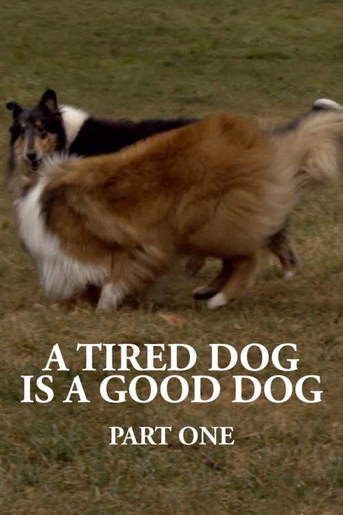 Movie poster for A Tired Dog is a Good Dog, Part One (2022)