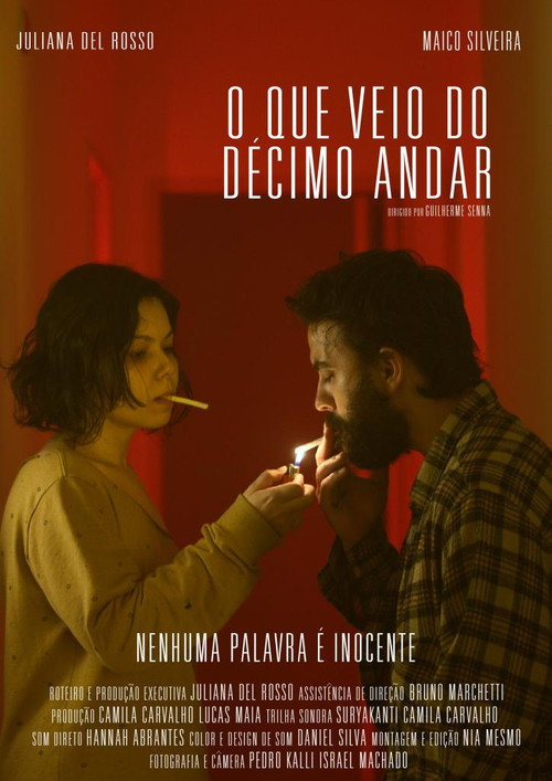 Movie poster for O Que Veio do Décimo Andar (2024)