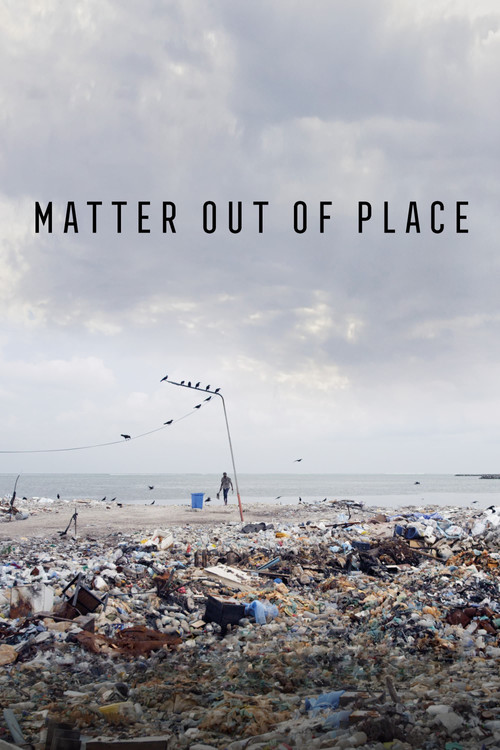 Movie poster for Matter Out of Place (2022)