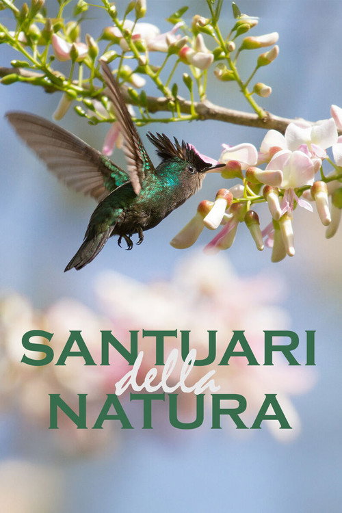 Series poster for Santuari della natura (2022)