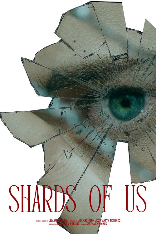 Movie poster for Shards of Us (2025)
