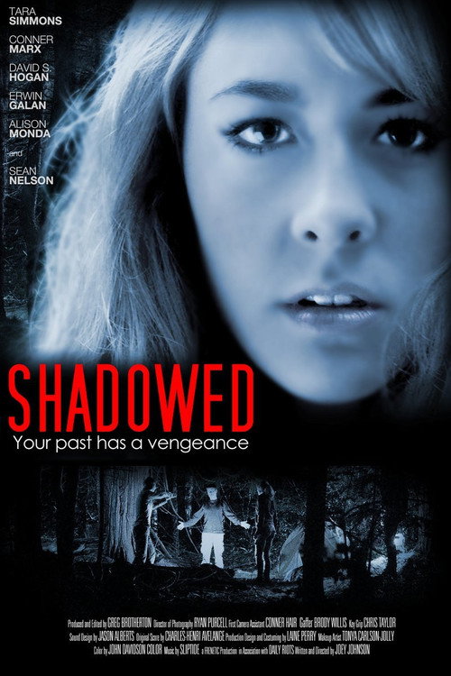 Movie poster for Shadowed (2013)
