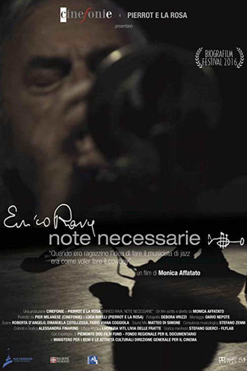Movie poster for Note necessarie (2016)