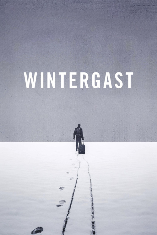 Movie poster for Wintergast (2015)