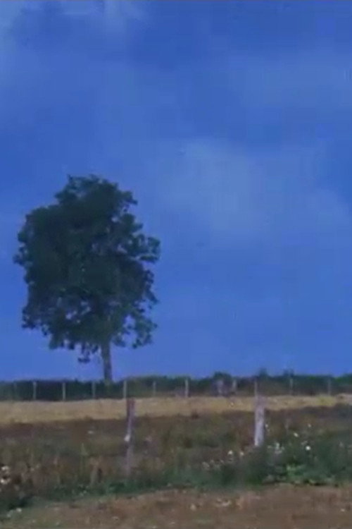 Movie poster for Dehors (1985)
