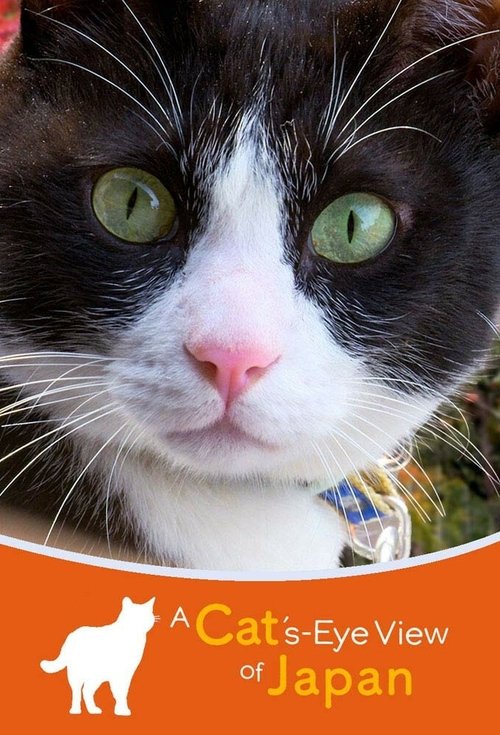 A Cat's-Eye View of Japan poster
